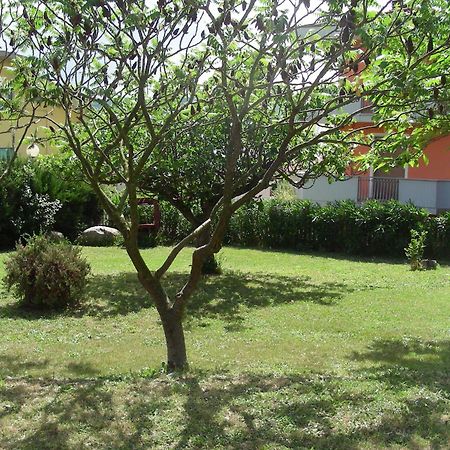 Pier Delle Vigne B&B Пинето Экстерьер фото