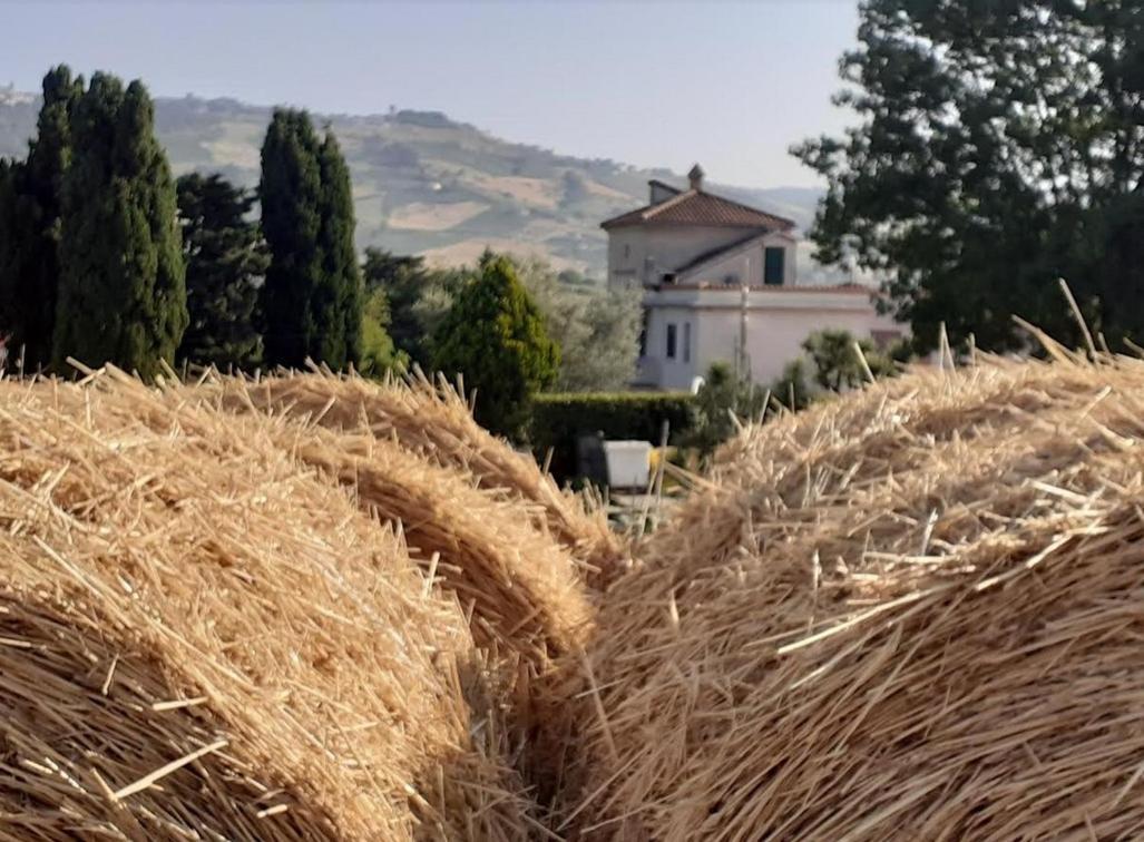 Pier Delle Vigne B&B Пинето Экстерьер фото