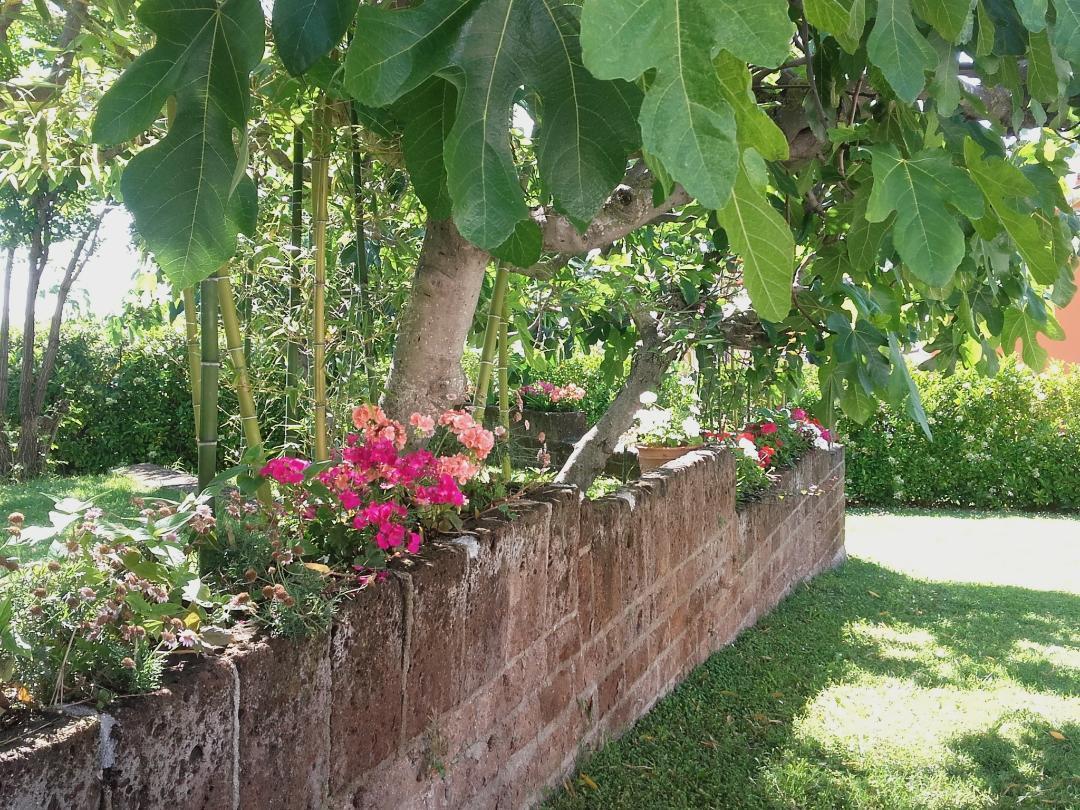 Pier Delle Vigne B&B Пинето Экстерьер фото