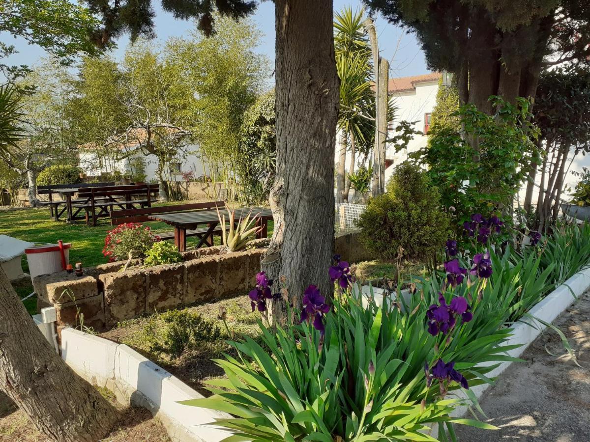 Pier Delle Vigne B&B Пинето Экстерьер фото
