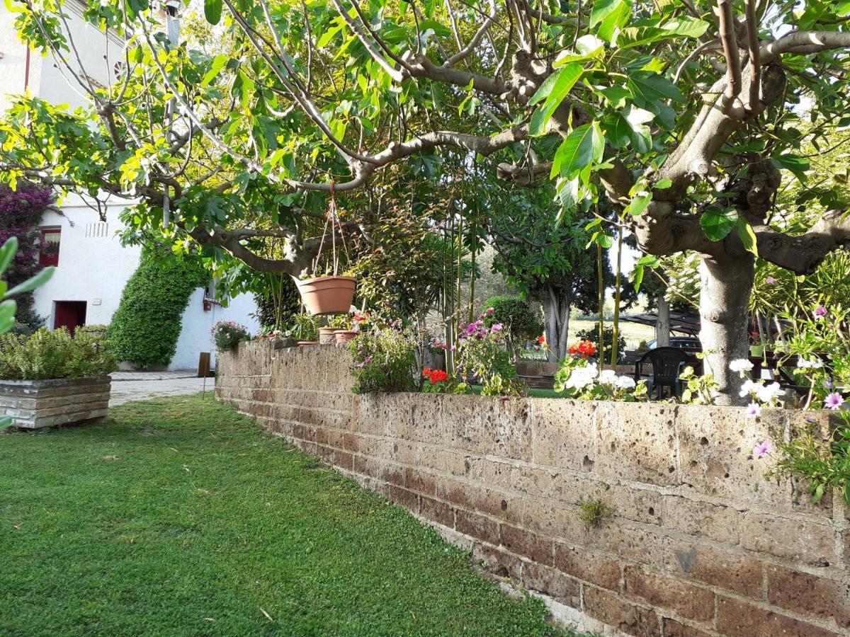 Pier Delle Vigne B&B Пинето Экстерьер фото
