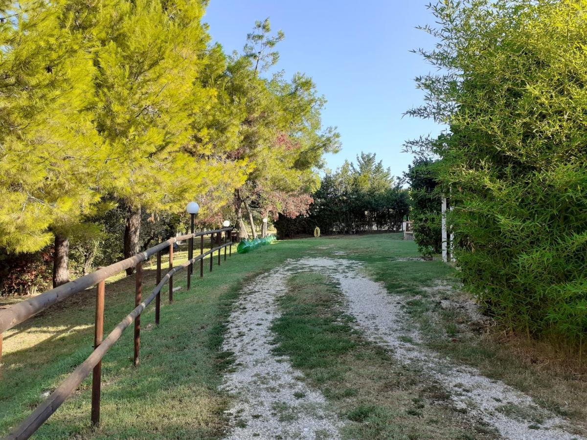 Pier Delle Vigne B&B Пинето Экстерьер фото